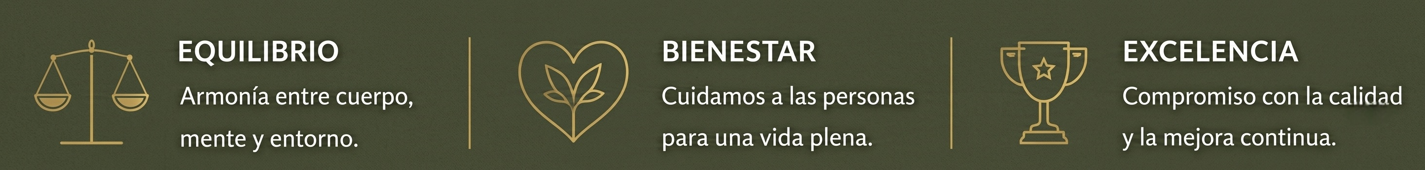 Equilibrio: Armonia entre cuerpo, mente y entorno. Bienestar: Cuidamos a las personas para una vida plena. Excelencia: Compromiso con la calidad y la mejora continua.